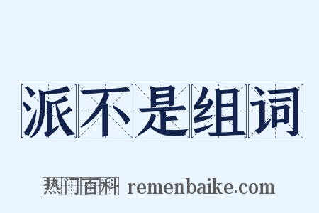 派不是组词是什么意思的图片